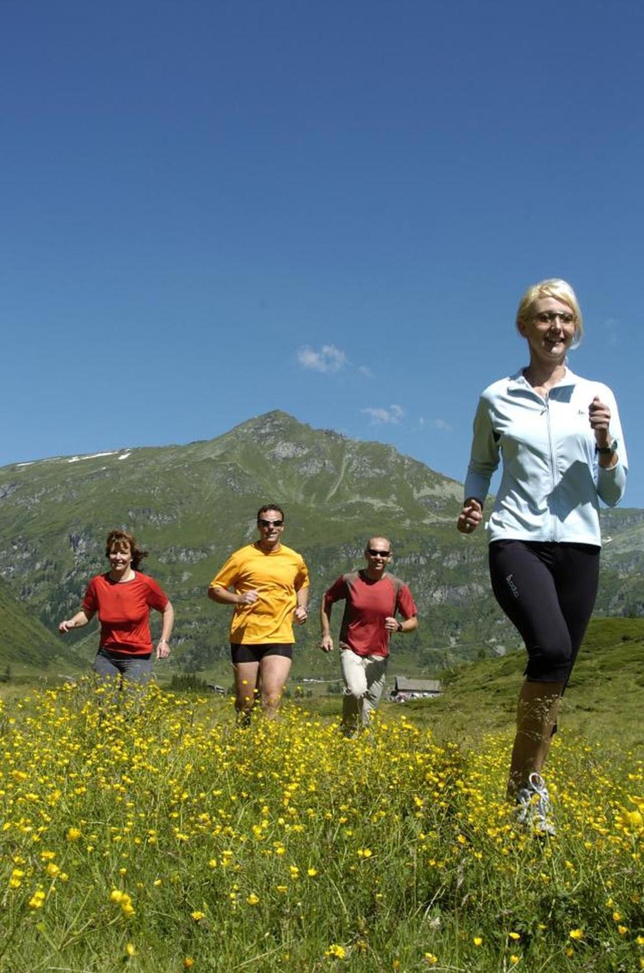 Ferienhaus Schiwiese Mit Freiem Eintritt In Die Alpentherme & Freie Nutzung Der Gasteiner Bergbahnen Im Sommer 2025 Бад Хофгащайн Екстериор снимка